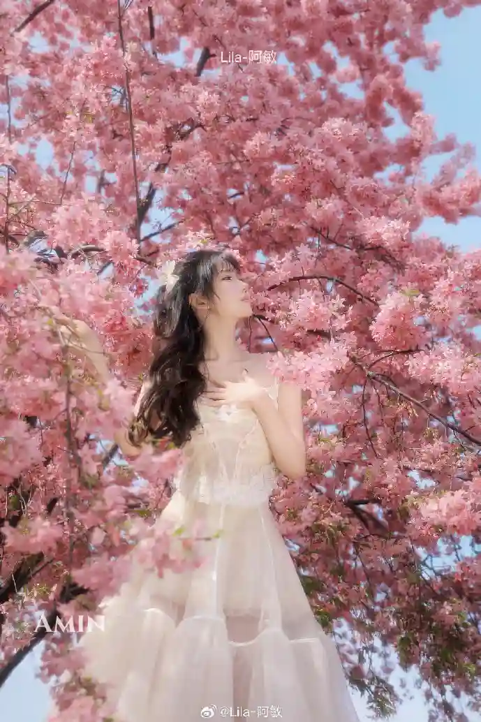 全球通讯App增长趋势