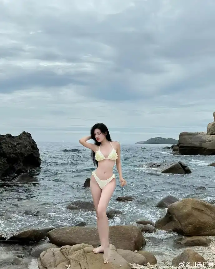 版权保护示意图